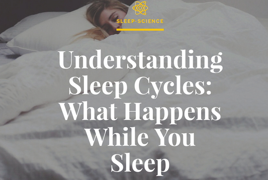 What really happens during sleep?