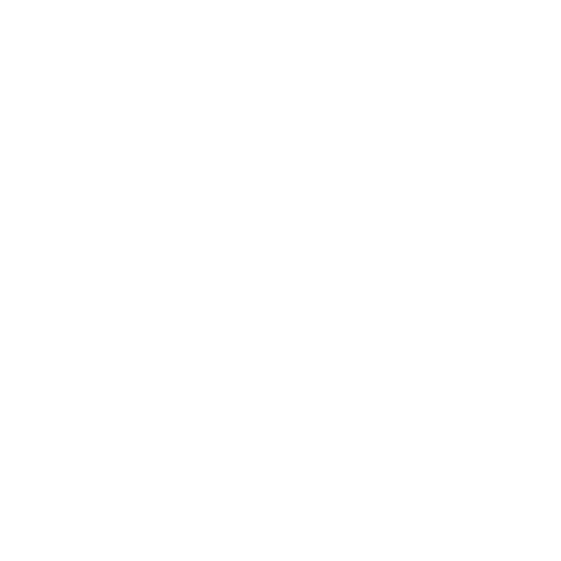Fox and friends logo