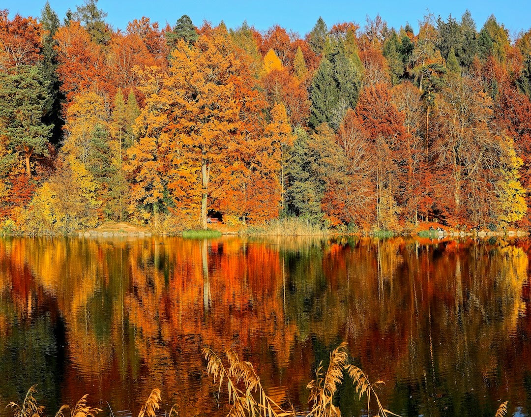 Why Fall Disrupts Your Sleep (and 5 Proven Ways to Fix It)